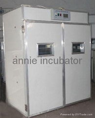 incubator for hatching eggs