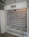 egg incubator hatching machine