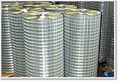 welded wire mesh