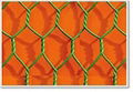 hexagonal wire mesh 1