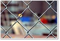 chain link fence