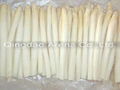 IQF White Asparagus