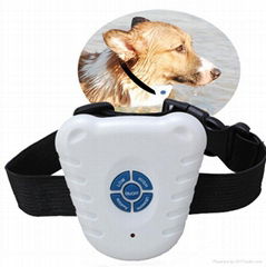 Adjustable Stretch Collar