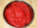 tomato paste 3