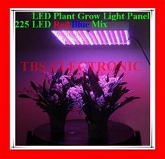 225 LED Hydroponic Grow Light