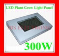 300W LED Grow Light Panel 1