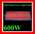 Professional 600w LED Grow Light Best