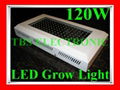 120W LED Aquarium Lighting 2