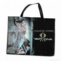 PP non-woven bags 2