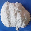 Monocalcium Phosphate 1