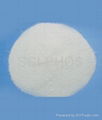 Ammonium Polyphosphate (phase-II)