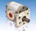 CBN-E500 Gear pump 1