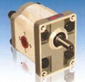 CBN-E(F)300 Gear pump 1