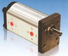 2CBN-E300 Gear Pump