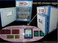 make small chicken egg incubator 1