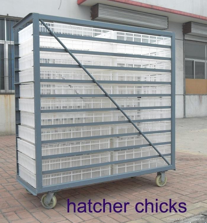  Large hen hatcher machine 2