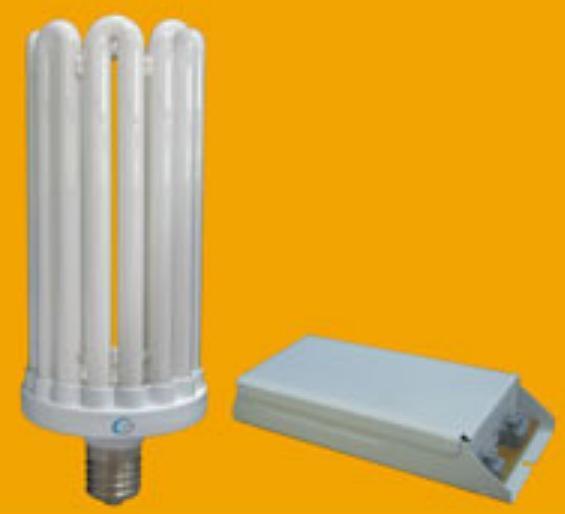 Large Power Datachable 8U CFL