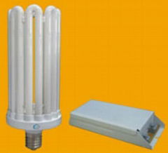 Large Power Datachable 8U CFL