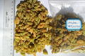 sell Green Raisin 3