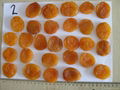 sun dried Apricot