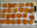 sun dried Apricot 2