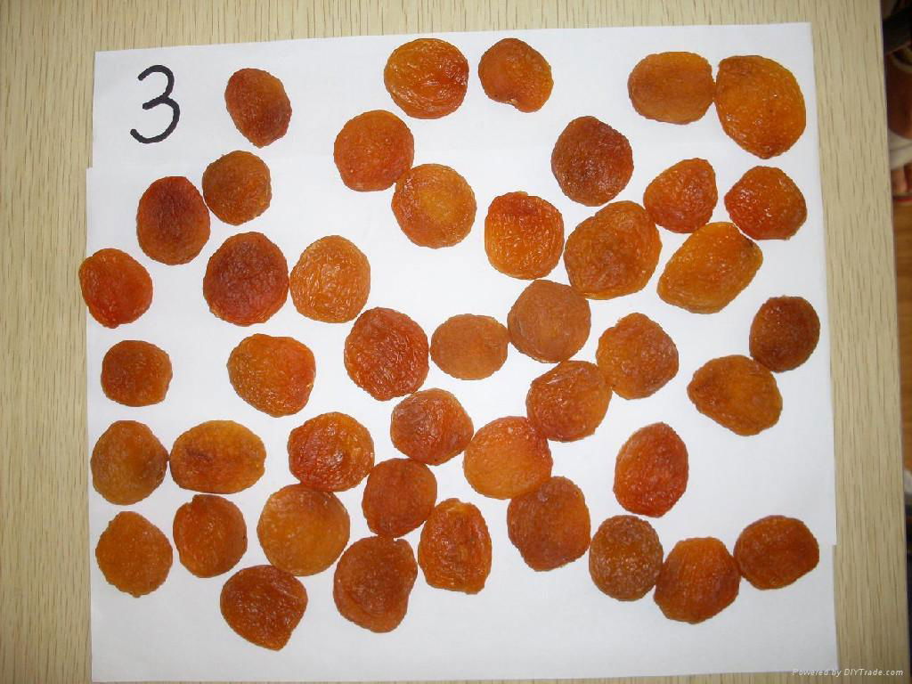 sun dried Apricot 3