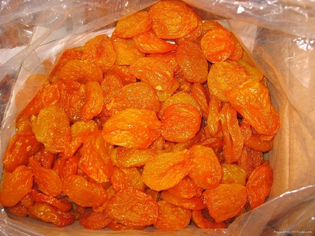 sun dried Apricot 4