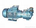 2BC Water-ring Vacuum Pump 2