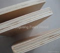 plywood  2