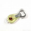 Horned Spider amber Bottle opener Real