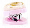 Stapler with insect amber novelty item