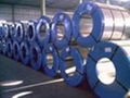 Julong Hot-Dip-Galvanizing  3