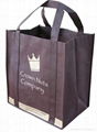 PP non woven shopping bag 1