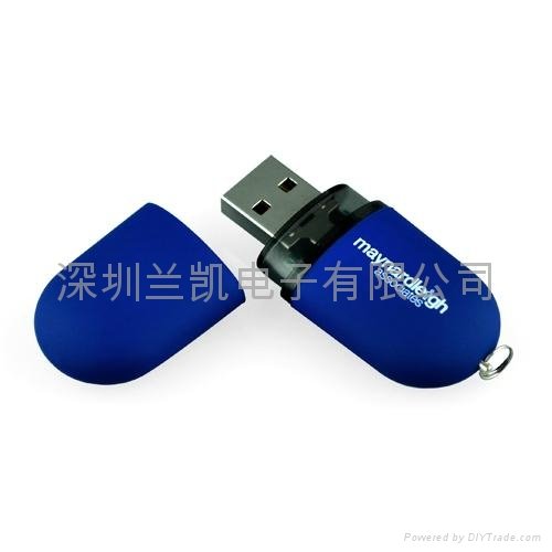 Promotion Gift Free Logo USB Flash stick