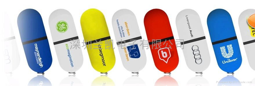 Promotion Gift Free Logo USB Flash stick 5