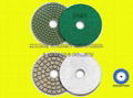 Flexible Polishing Pad 1