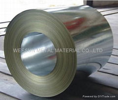 Galvanized steel coil