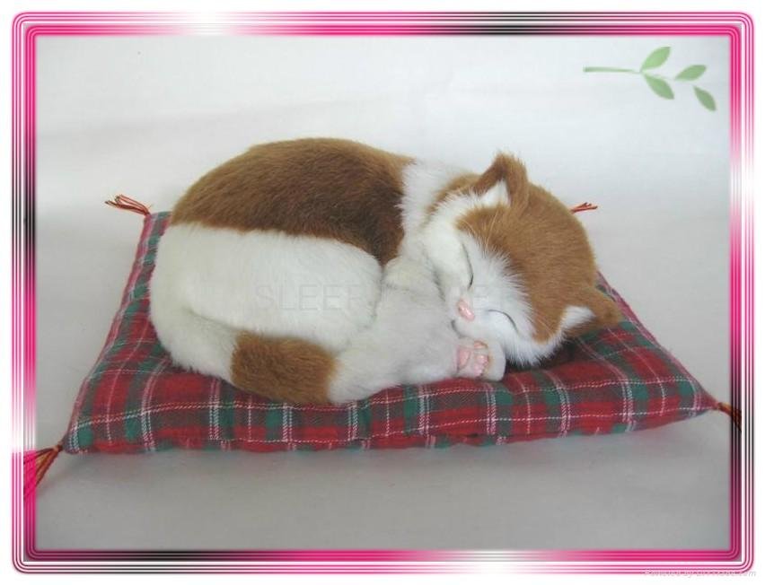 Sleeping Brown and White Cat On Blanket