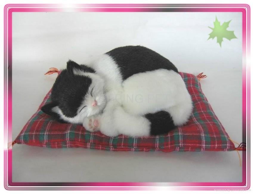 Sleeping Black and White Cat On Blanket