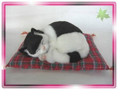 Sleeping Black and White Cat On Blanket