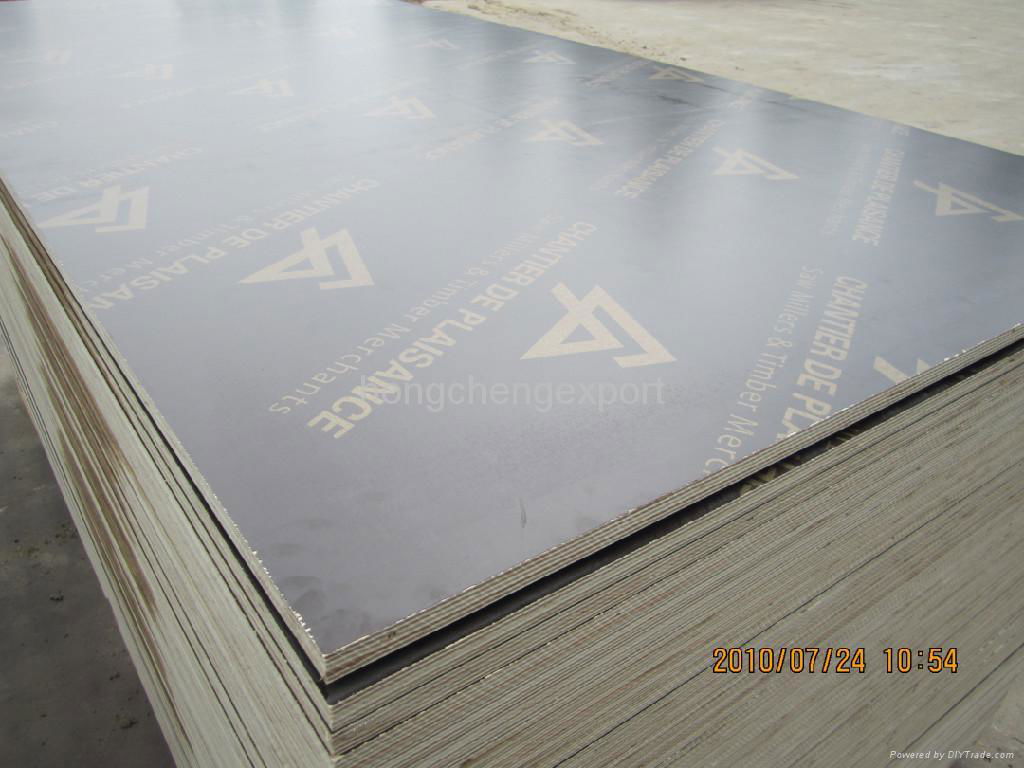 European formwok plywood