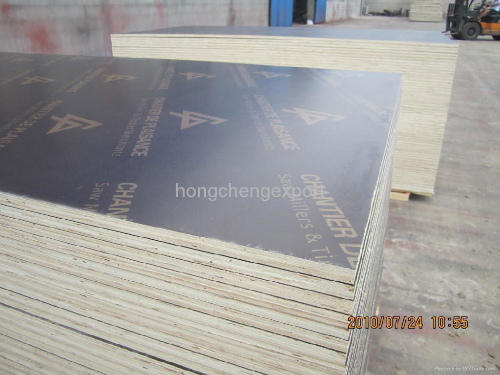 European formwok plywood 2