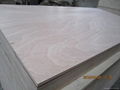 plywood