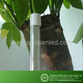 T8 LED Tube Light 2