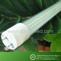 1200mm T8 LED Tube Light