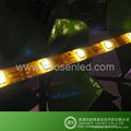 RGB LED Strip Epoxy Waterproof U-shaped tube,5050SMD RGB  2