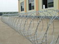 Concertina Barbed Wire 1