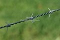 Concertina Barbed Wire 3