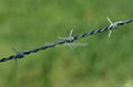 Concertina Barbed Wire 3