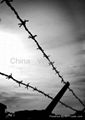 chain link fence top barbed wire  3